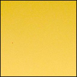 View image taken on Mars, Mars Perseverance Sol 1039: Left Mastcam-Z Camera