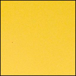 View image taken on Mars, Mars Perseverance Sol 1039: Left Mastcam-Z Camera