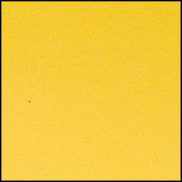 View image taken on Mars, Mars Perseverance Sol 1039: Left Mastcam-Z Camera