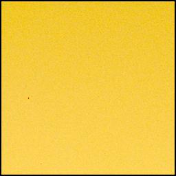 View image taken on Mars, Mars Perseverance Sol 1039: Left Mastcam-Z Camera