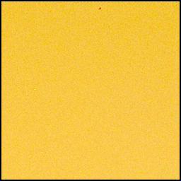 View image taken on Mars, Mars Perseverance Sol 1039: Right Mastcam-Z Camera