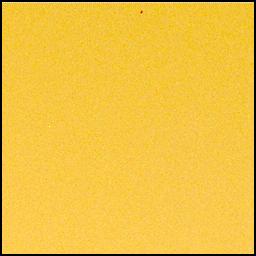 View image taken on Mars, Mars Perseverance Sol 1039: Right Mastcam-Z Camera