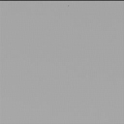 View image taken on Mars, Mars Perseverance Sol 1039: Right Mastcam-Z Camera