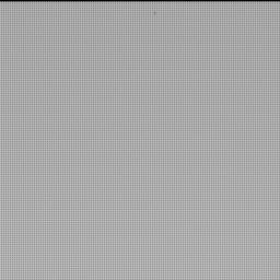 View image taken on Mars, Mars Perseverance Sol 1039: Right Mastcam-Z Camera