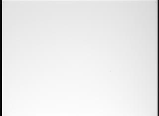 View image taken on Mars, Mars Perseverance Sol 1039: Right Mastcam-Z Camera