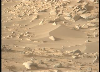 View image taken on Mars, Mars Perseverance Sol 1041: Left Mastcam-Z Camera