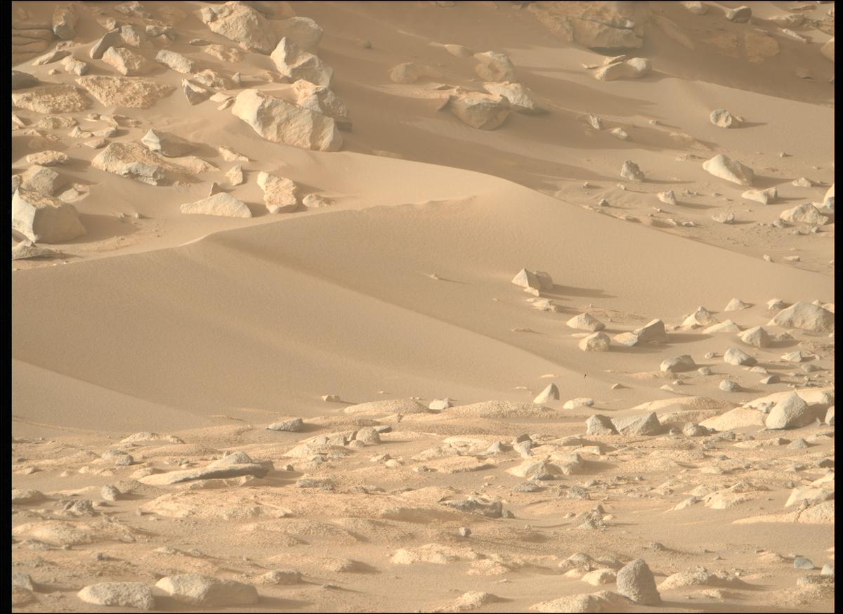 This image was taken by MCZ_RIGHT onboard NASA's Mars rover Perseverance on Sol 1041