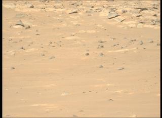View image taken on Mars, Mars Perseverance Sol 1042: Left Mastcam-Z Camera