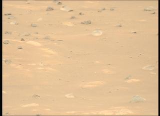 View image taken on Mars, Mars Perseverance Sol 1042: Left Mastcam-Z Camera