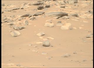 View image taken on Mars, Mars Perseverance Sol 1042: Right Mastcam-Z Camera