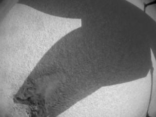 View image taken on Mars, Mars Helicopter Sol 1043: Navigation Camera