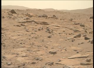View image taken on Mars, Mars Perseverance Sol 1043: Right Mastcam-Z Camera