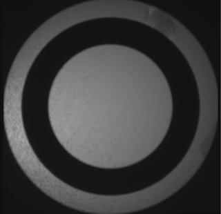 View image taken on Mars, Mars Perseverance Sol 1044: SkyCam Camera 