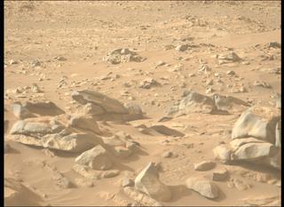 View image taken on Mars, Mars Perseverance Sol 1044: Left Mastcam-Z Camera