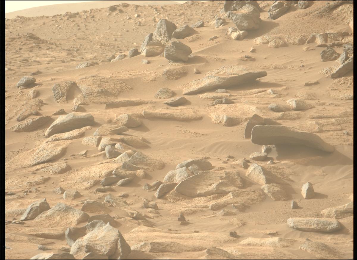 This image was taken by MCZ_LEFT onboard NASA's Mars rover Perseverance on Sol 1044