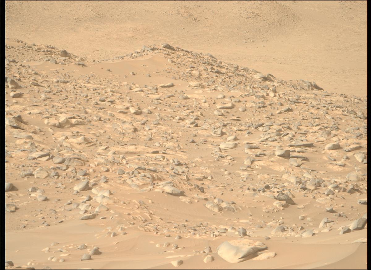 This image was taken by MCZ_RIGHT onboard NASA's Mars rover Perseverance on Sol 1044