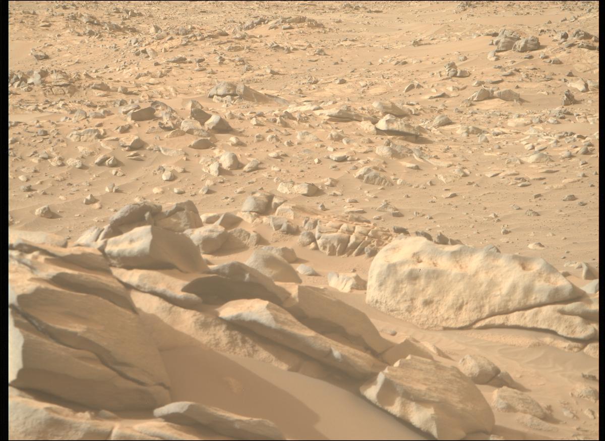 This image was taken by MCZ_RIGHT onboard NASA's Mars rover Perseverance on Sol 1044