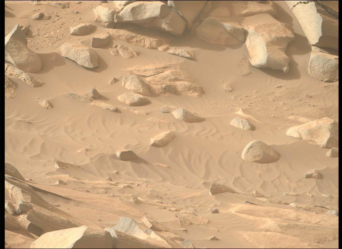 This image was taken by MCZ_RIGHT onboard NASA's Mars rover Perseverance on Sol 1044