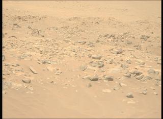 View image taken on Mars, Mars Perseverance Sol 1045: Left Mastcam-Z Camera