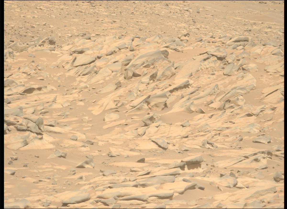 This image was taken by MCZ_LEFT onboard NASA's Mars rover Perseverance on Sol 1045