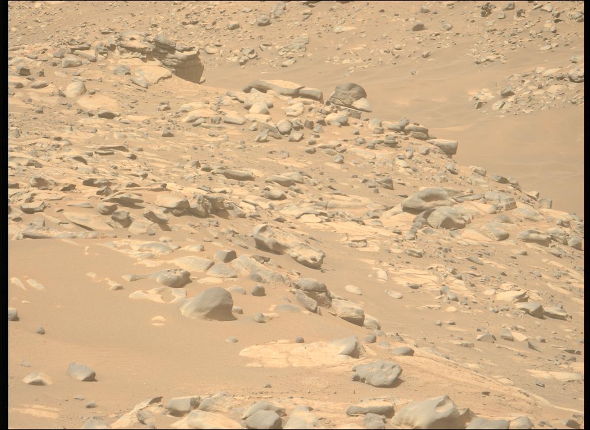 This image was taken by MCZ_LEFT onboard NASA's Mars rover Perseverance on Sol 1045