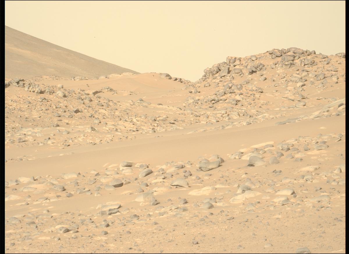 This image was taken by MCZ_LEFT onboard NASA's Mars rover Perseverance on Sol 1047
