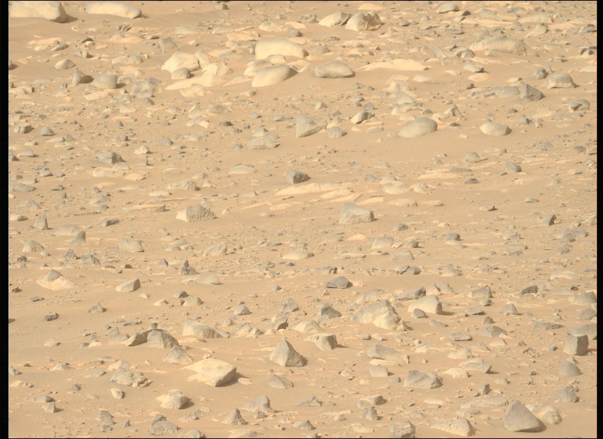 This image was taken by MCZ_LEFT onboard NASA's Mars rover Perseverance on Sol 1047
