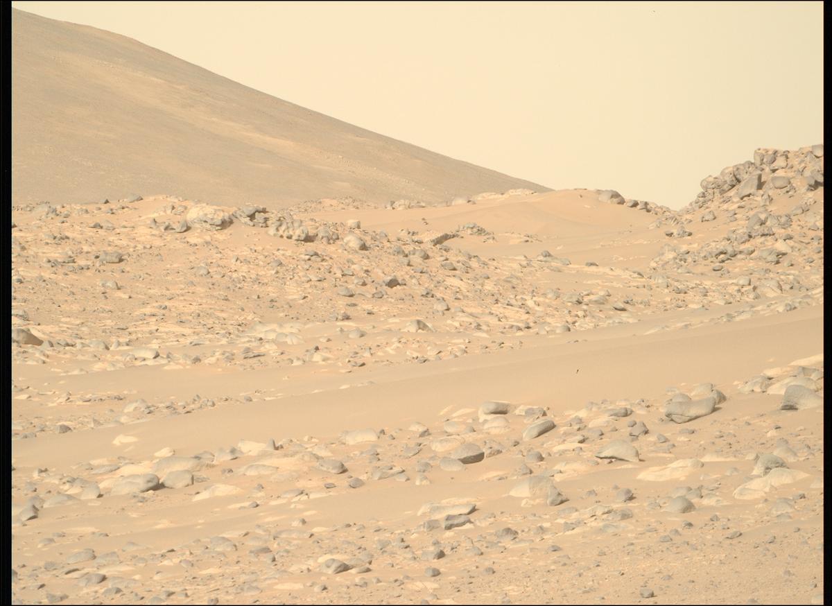 This image was taken by MCZ_RIGHT onboard NASA's Mars rover Perseverance on Sol 1047