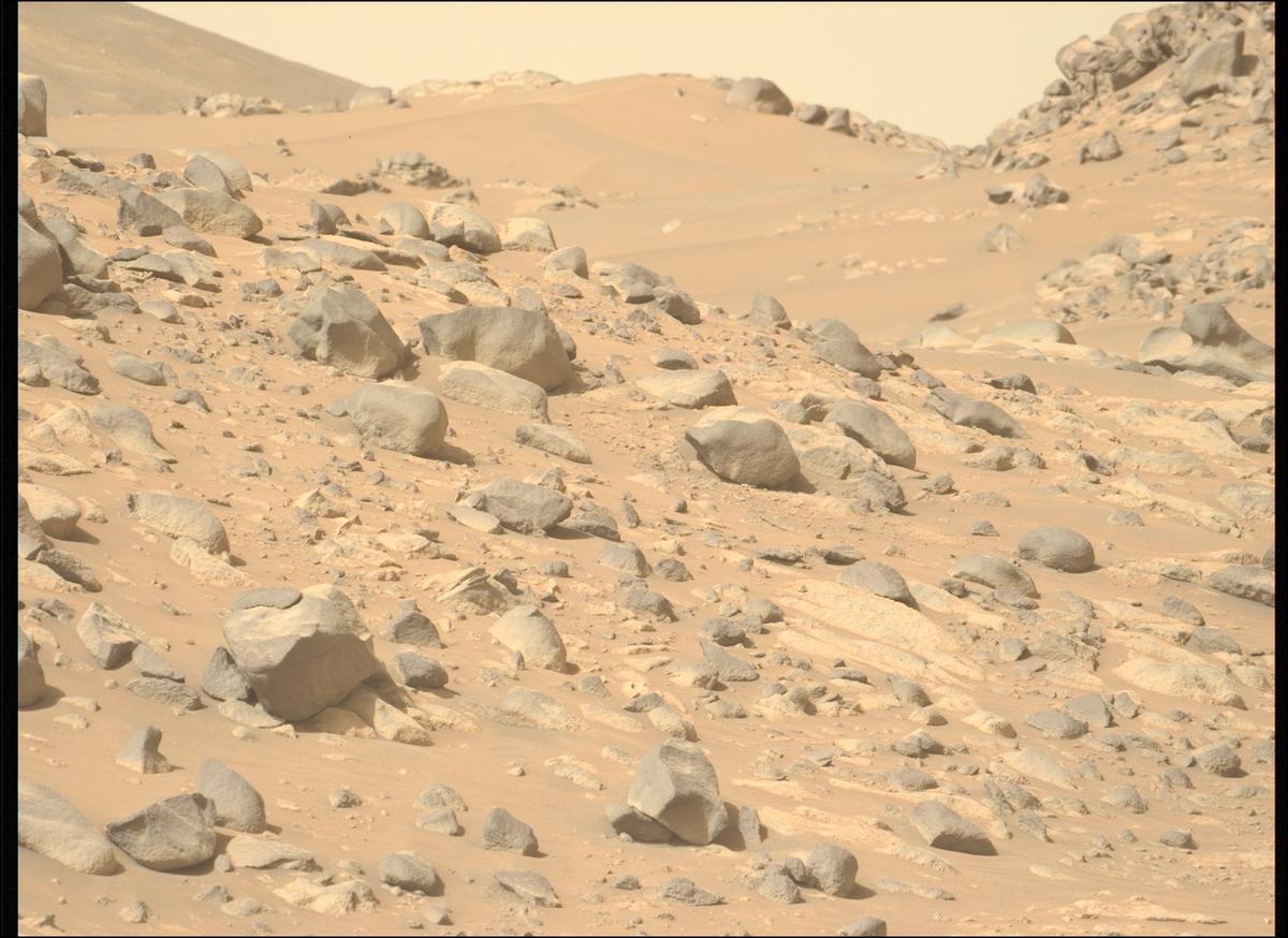 This image was taken by MCZ_LEFT onboard NASA's Mars rover Perseverance on Sol 1048