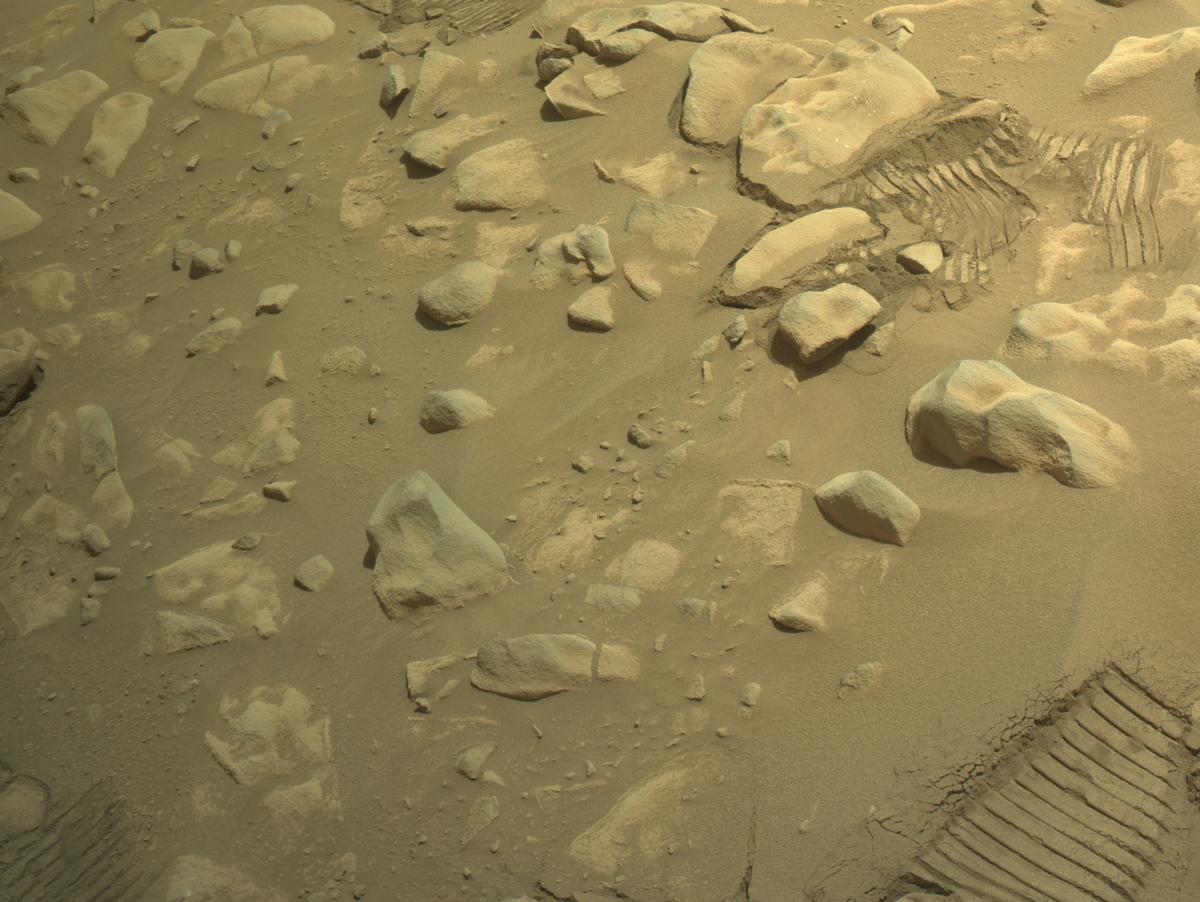 This image was taken by NAVCAM_LEFT onboard NASA's Mars rover Perseverance on Sol 1049