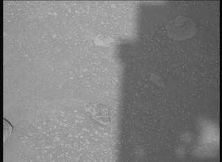 View image taken on Mars, Mars Perseverance Sol 1053: Left Mastcam-Z Camera