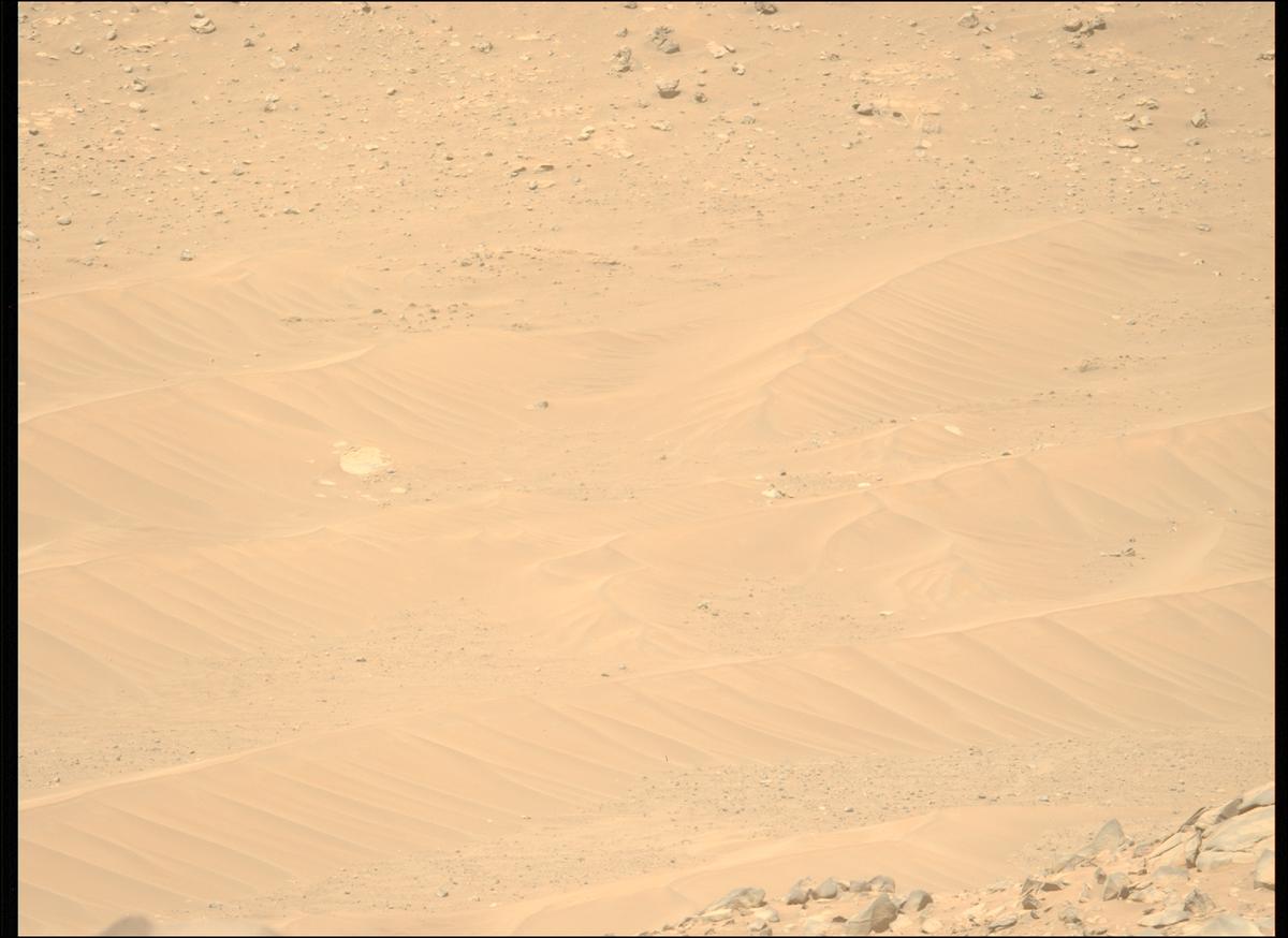 This image was taken by MCZ_LEFT onboard NASA's Mars rover Perseverance on Sol 1064