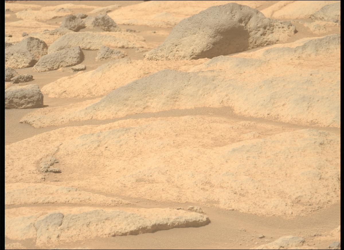 This image was taken by MCZ_LEFT onboard NASA's Mars rover Perseverance on Sol 1064