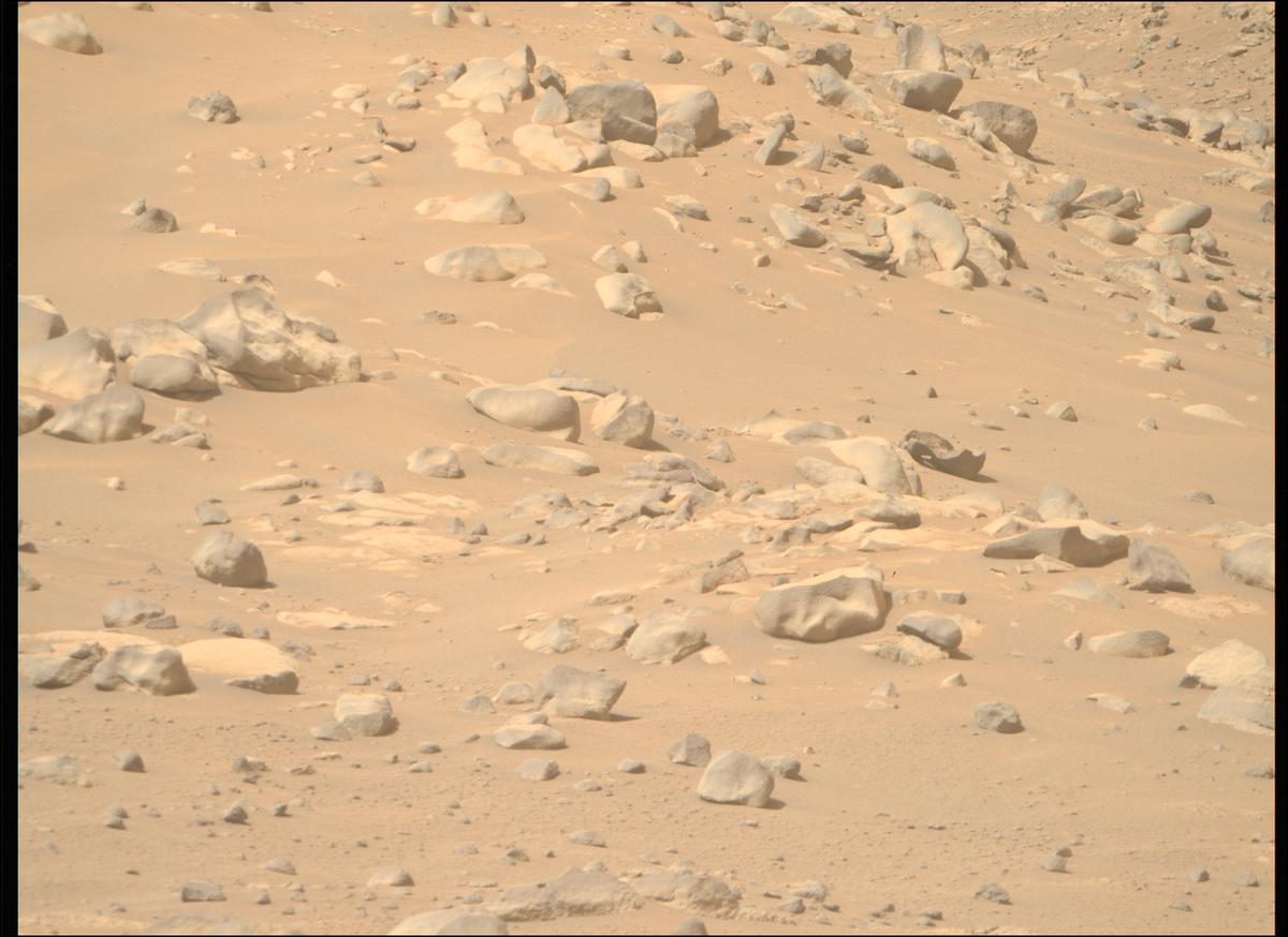 This image was taken by MCZ_RIGHT onboard NASA's Mars rover Perseverance on Sol 1064