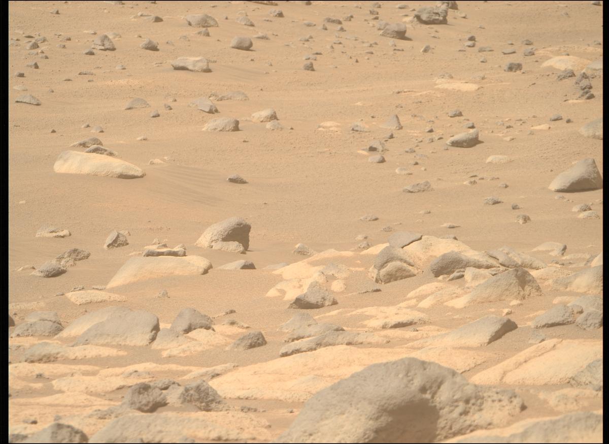 This image was taken by MCZ_RIGHT onboard NASA's Mars rover Perseverance on Sol 1064