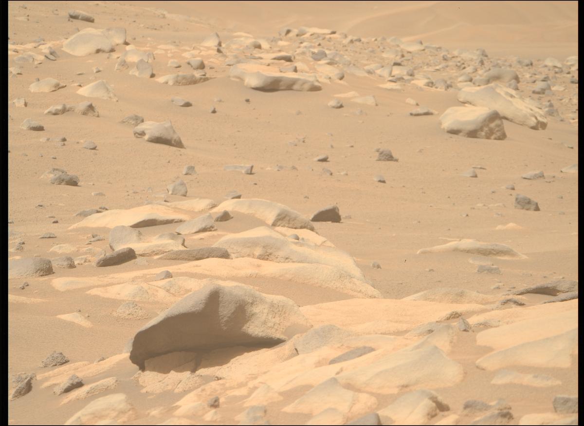 This image was taken by MCZ_RIGHT onboard NASA's Mars rover Perseverance on Sol 1064