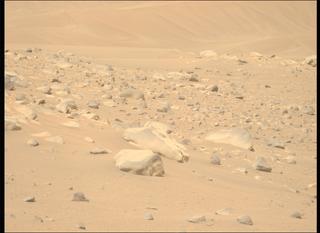 View image taken on Mars, Mars Perseverance Sol 1068: Left Mastcam-Z Camera