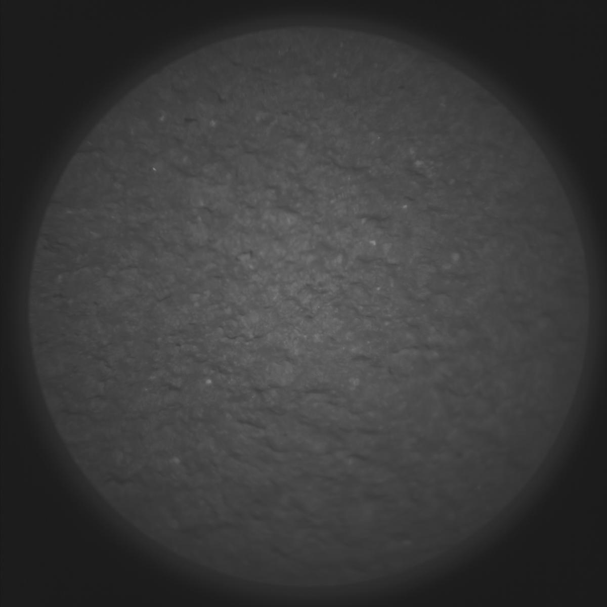 This image was taken by SUPERCAM_RMI onboard NASA's Mars rover Perseverance on Sol 1069