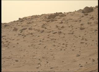 View image taken on Mars, Mars Perseverance Sol 1074: Left Mastcam-Z Camera