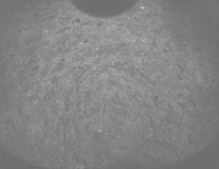 View image taken on Mars, Mars Perseverance Sol 1075: PIXL Camera 