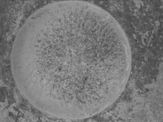 View image taken on Mars, Mars Perseverance Sol 1080: WATSON Camera 