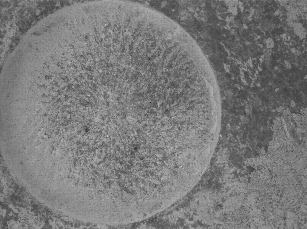 This image was taken by SHERLOC_WATSON onboard NASA's Mars rover Perseverance on Sol 1080