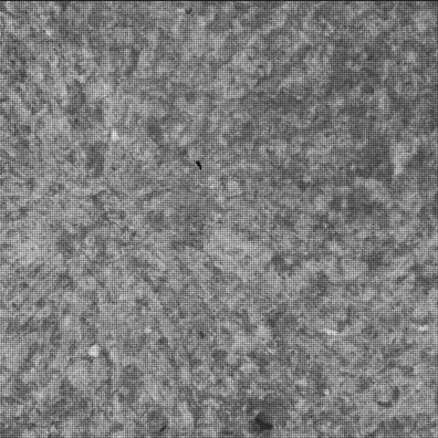 This image was taken by SHERLOC_WATSON onboard NASA's Mars rover Perseverance on Sol 1080