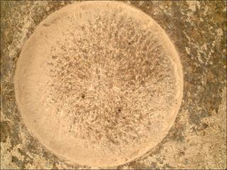 View image taken on Mars, Mars Perseverance Sol 1080: WATSON Camera 