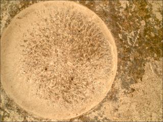 View image taken on Mars, Mars Perseverance Sol 1080: WATSON Camera 