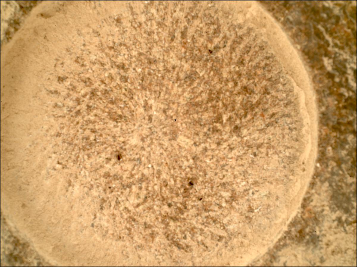 This image was taken by SHERLOC_WATSON onboard NASA's Mars rover Perseverance on Sol 1080