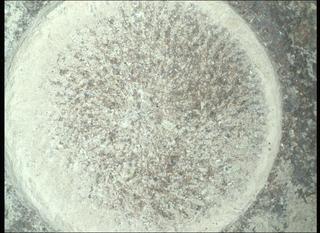 View image taken on Mars, Mars Perseverance Sol 1080: WATSON Camera 