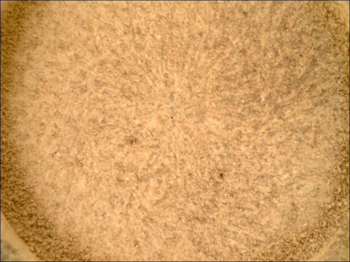 This image was taken by SHERLOC_WATSON onboard NASA's Mars rover Perseverance on Sol 1082