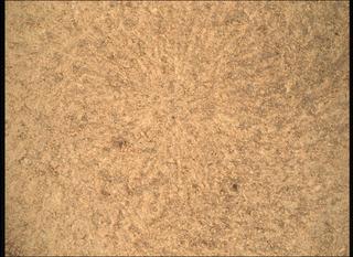 View image taken on Mars, Mars Perseverance Sol 1082: WATSON Camera 