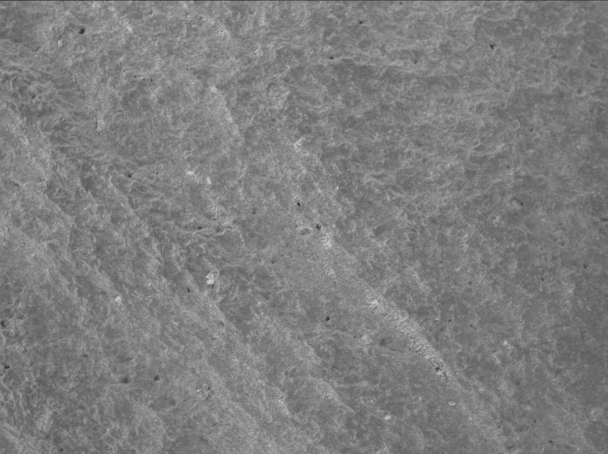 This image was taken by SHERLOC_WATSON onboard NASA's Mars rover Perseverance on Sol 1085